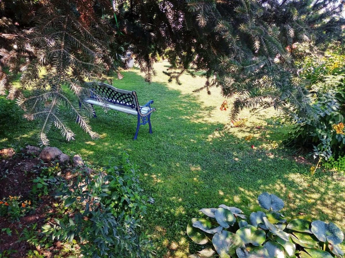 Villa Axiothea Nemea Екстериор снимка